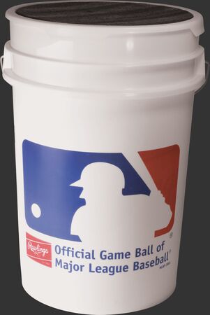 Rawlings Baseball Bucket w/ 30 ROLB1X Baseballs